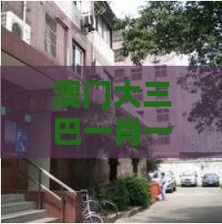 澳门大三巴一肖一特学校宿舍条件，今期鸡要万，2025年天天免费资料百度免费版和谨防虚假美化陷阱-深度释义、专家解读解释与落实​