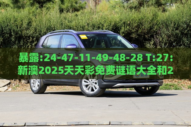 暴露:24-47-11-49-48-28 T:27:新澳2025天天彩免费谜语大全和2026天天精准资料大全和谨防欺诈的假营销雾,透彻剖析、专家解析解释与落实​