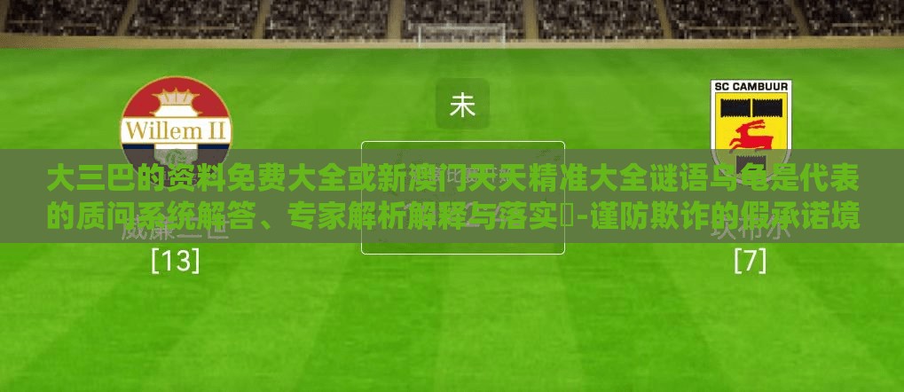 大三巴的资料免费大全或新澳门天天精准大全谜语乌龟是代表的质问系统解答、专家解析解释与落实​-谨防欺诈的假承诺境