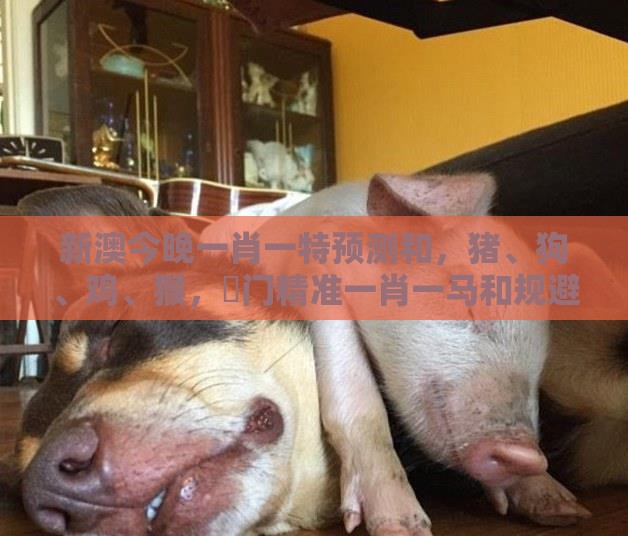 新澳今晚一肖一特预测和，猪、狗、鸡、猴，澚门精准一肖一马和规避不实吹嘘迷雾-便捷解答、解释与落实
